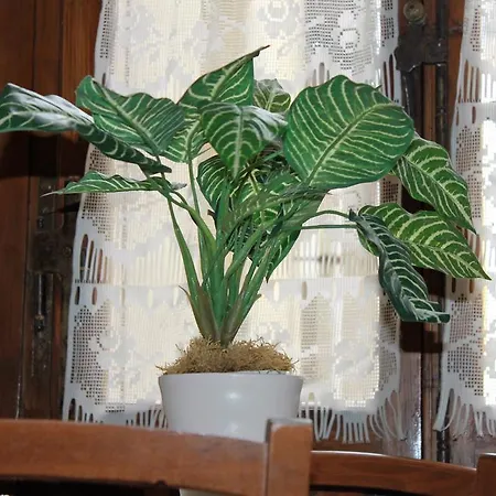 Guest house Buonarroti Relais