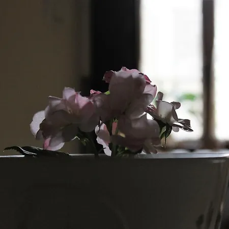 Guest house Buonarroti Relais