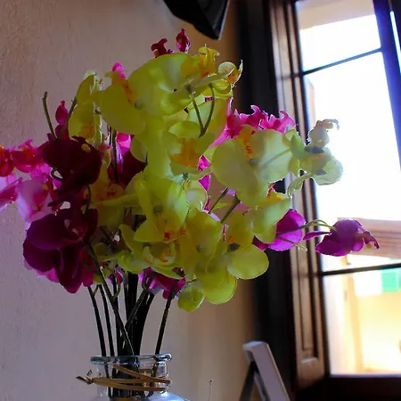 Guest house Buonarroti Relais